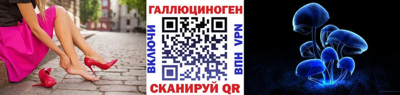 Псилоцибиновые грибы Psilocybe  Купить где  Дедовск 